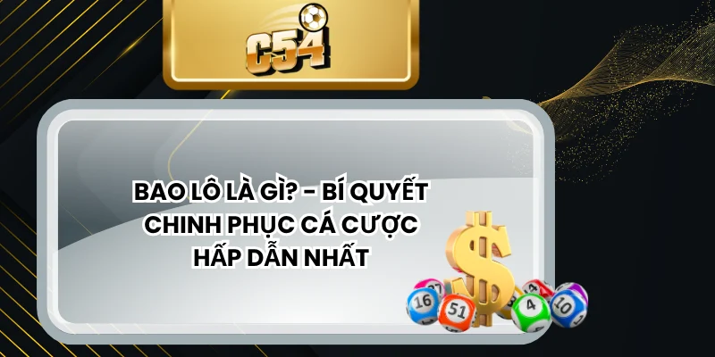 Bao Lô Là Gì