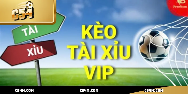 Các loại kèo cược Tài Xỉu đa dạng mang đến trải nghiệm cá cược phong phú
